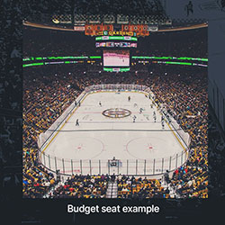 NHL-budget.jpg